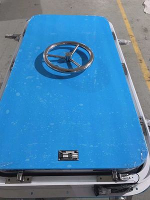 Puerta resistente a la intemperie marina con opciones para perfiles de radio cuadrado o semicircular proveedor