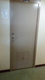 Puerta de cabina de acero inoxidable A60 H120 a la vista proveedor